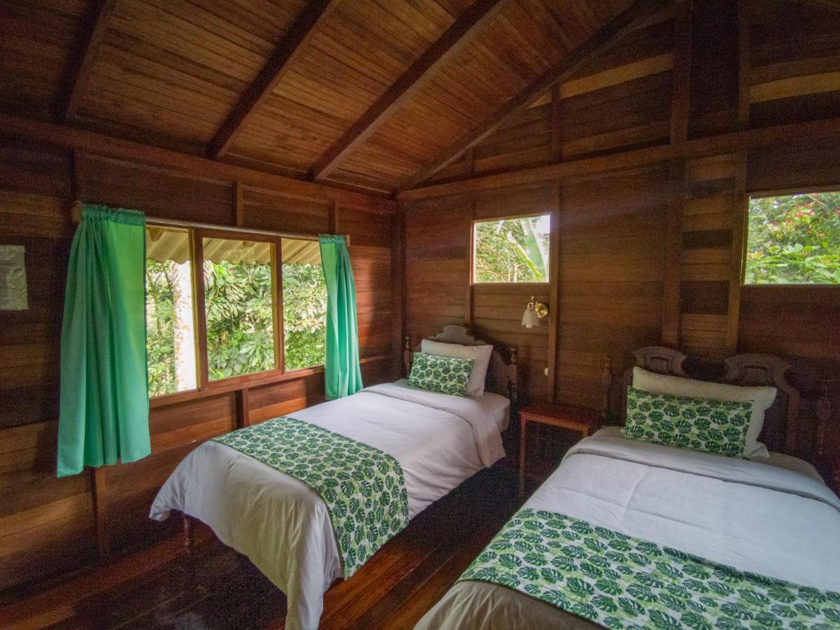 Germany Lodge Puyo