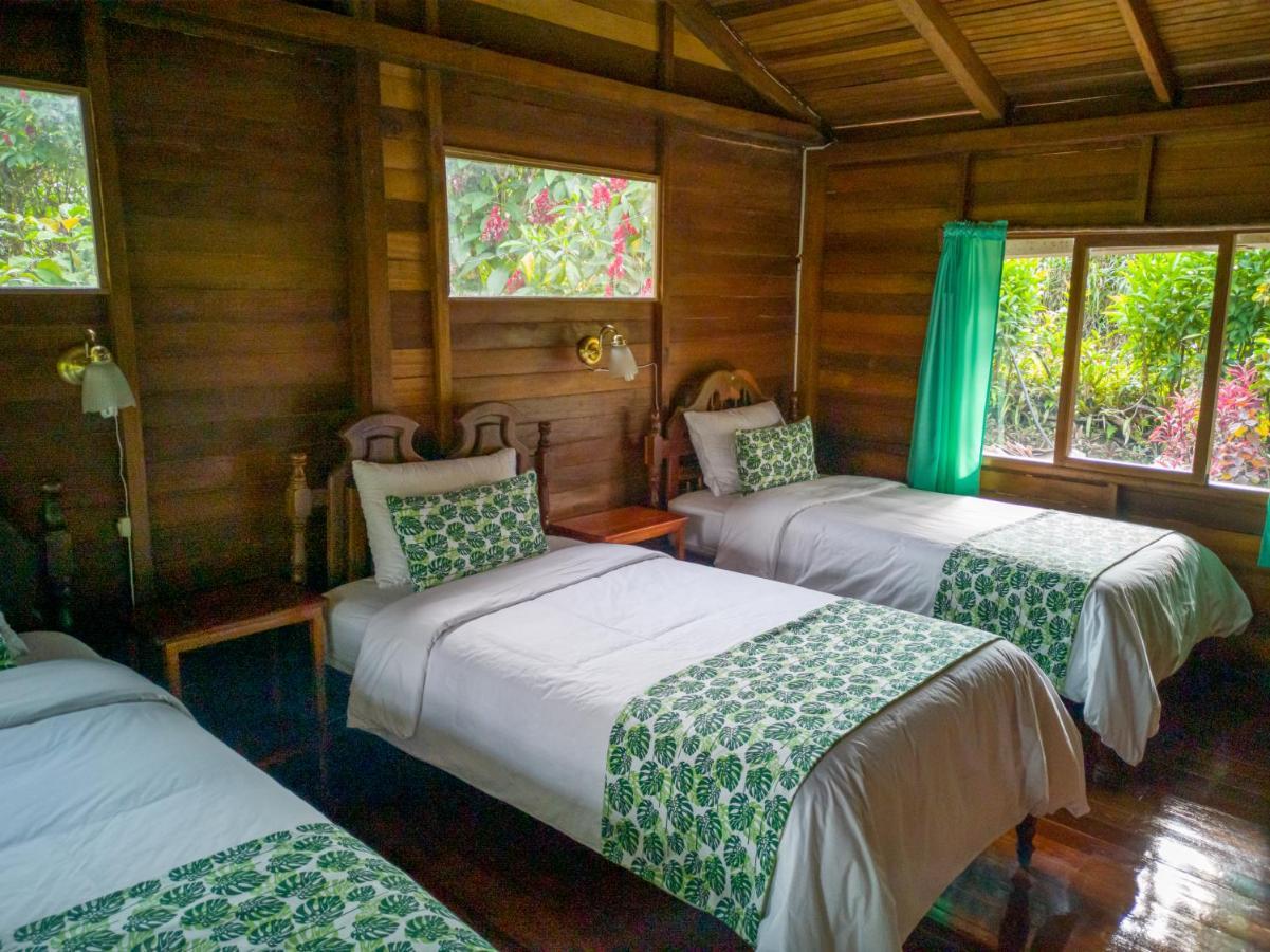 Germany Lodge Puyo